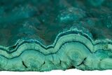 Teal Botryoidal Chrysocolla and Malachite - Chile #310138-1
